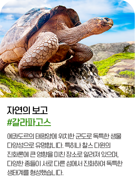 갈라파고스